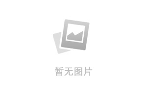 WordPress打造专业外贸网站的最佳选择