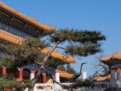 旅游类微信小程序二次开发
